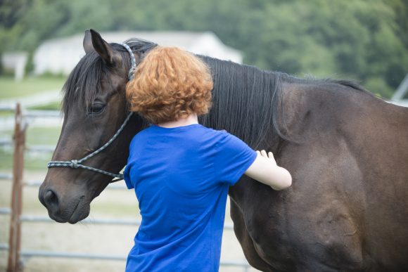 Equine Assisted Therapy Eliada